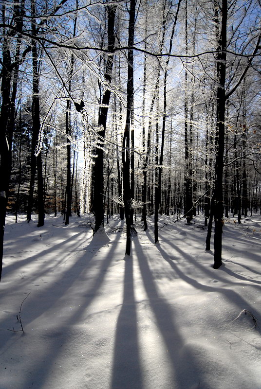 Winter _DDC8612 Kopie.jpg